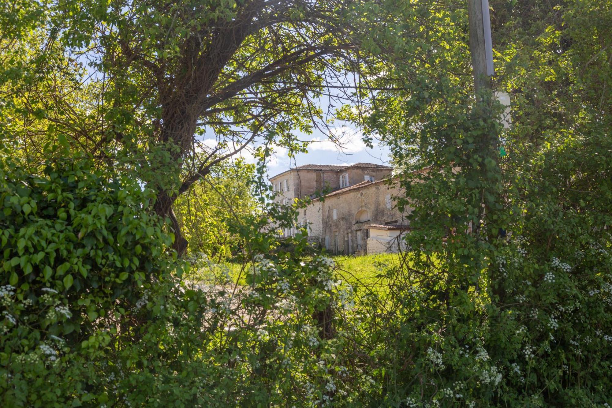 Chateau Haut Gouat Bed & Breakfast Vertheuil-en-Médoc Eksteriør bilde